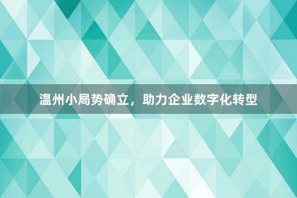 温州小局势确立，助力企业数字化转型